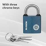 RosewineC Heavy Duty Padlock 38MM Iron Padlock with 3 Keys Weatherproof view 5