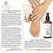 Organic Jojoba Oil, 100% Pure, Cold Pressed, USDA Certified Organic by RejuveNaturals, 4oz | Natural Moisturizer for Face, Hair, Skin and Nails