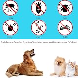 HouChanges 3Pcs Tick Remover Tool Painlessly Tick for Dogs Cats Humans Blue view 5