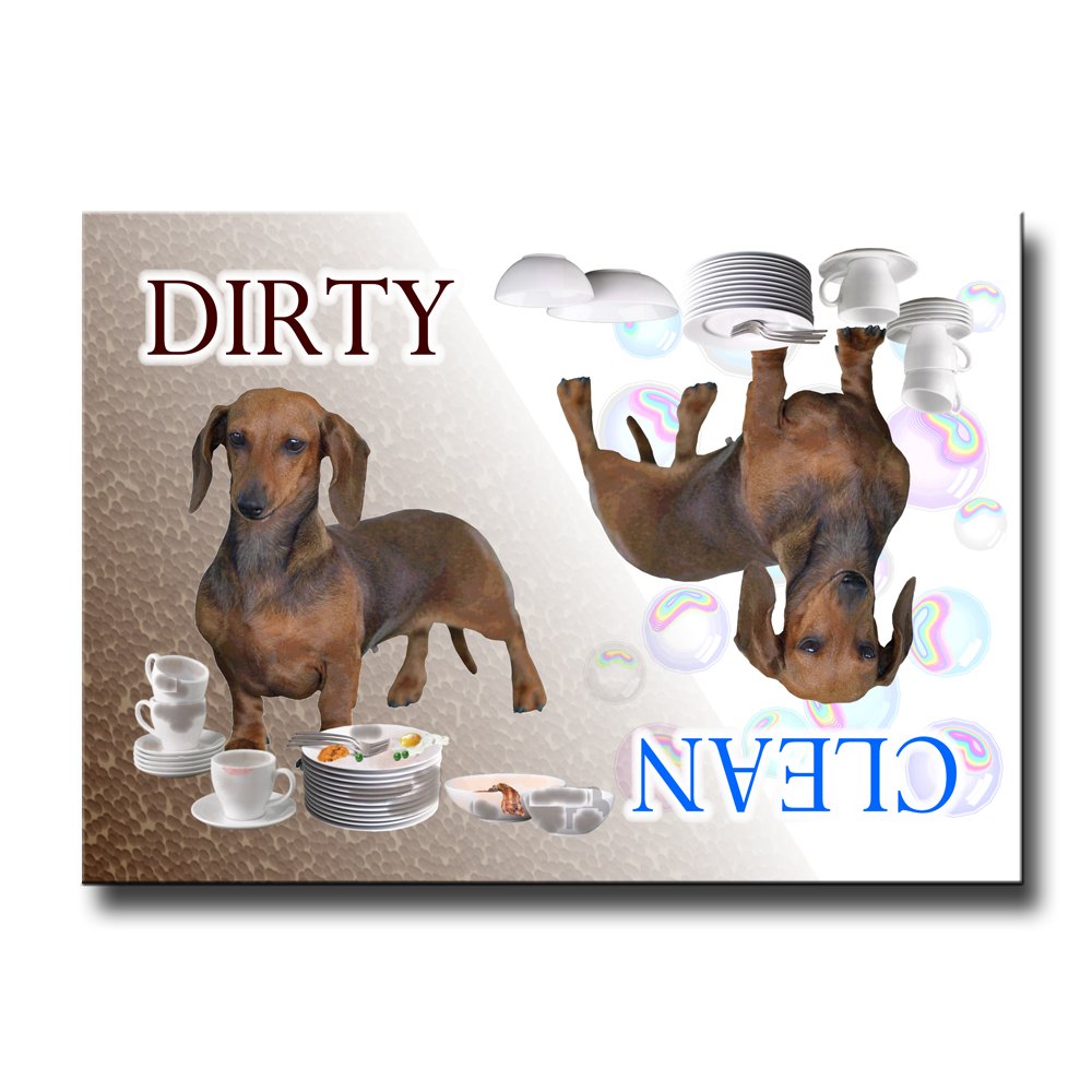 Top 10 Clean Dirty Dishwasher Weiner Dog Home Previews