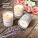 Anjou Scented Candle 6 Pack Gift Set, Aromatherapy Set of Fragrance Soy Wax, 15 Hours Burn Time Per Cup, 6 x 70 g for Stress Relief, Christmas Gift