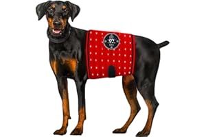 NKJNKFS Red Light Infrared Heat Therapy Pad, Pet Red Light Therapy for Dog Cat, Multiple Modes Red Light Physiotherapy Device