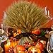 GTIDEA Large Golden Dried Natural Wheat Sheave Bundle Premium Spring Arrangements Full Wholesale DIY Home Kitchen Table Wedding Centerpieces Decorative