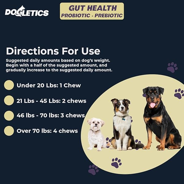 DOGLETICS GUT HEALTH PROBIOTIC & PREBIOTIC – 90CT SUPPORT STOMACH MICROBIOME, PREVENT DIGESTIVE PROBLEMS, REDUCE ANAL GLAND ISSUES, IMPROVE IMMUNE FUNCTION AND OVERALL ENERGY