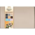 Neater Pet Brands Neater Mat - Waterproof Silicone Pet Bowls Mat - Protect Floors from Food & Water (19" x 12", Cappuccino)