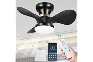 FIMEI Ceiling Fans with Lights and Remote, 24'' Low Profile Flush Mount Ceiling Fan, 6 Speeds, 3500K-6500K Dimmable LED Light, Modern Ceiling Fans with Lights for Bedroom Porch Patio (Black)