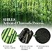 SHILLS Black Mask, Blackhead Peel Off Mask, Blackhead Remover Mask, Charcoal Mask, Black Mud Face Mask x1, black mask x1, Blackhead Cleansing Brush Kit