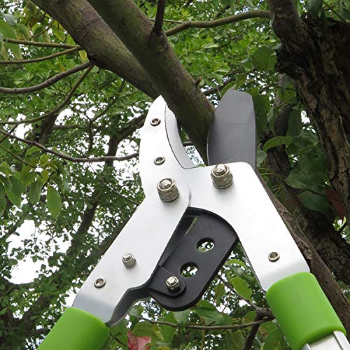 Mesoga Bypass Lopper with Extendable, Anvil Lopper Heavy Duty, Tree