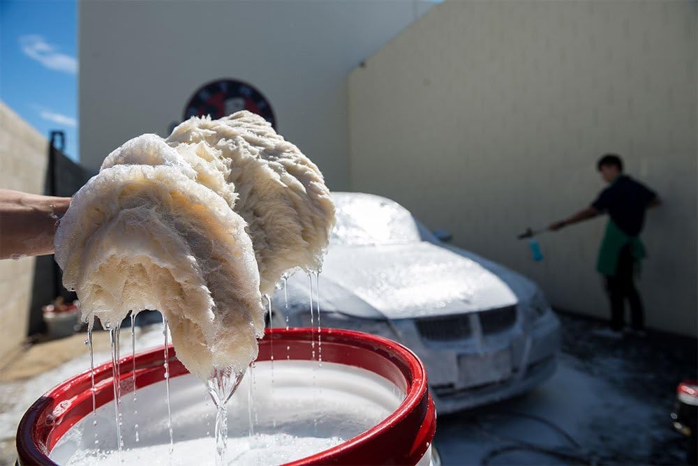Chemical Guys ACC145 Bear Claw Scratch Free Premium Wash Pad: Automotive