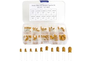 XINGYHENG 100Pcs 10Value 16V 1 uf - 100 uf Tantalum Capacitor Assorted Kit with A Plastic Box