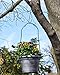 Gray Bunny Metal Tree Branch Hook, 12 Inch, Black, 2-Pack, Premium Extra Thick 1/5 Inch Diameter Rust Resistant Steel S-Hooks for Bird Feeders and Baths, Planters, and More