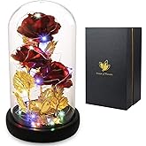Valentines Day Rose Gifts for Her Galaxy Flower Rose in Glass Dome with 2 Light Modes,Enchanted Rose Light Up Rose Valentines Anniversary Birthday Gifts for Wife Girlfriend Women Mom Best Friend Her
