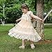 Kaiya Angel Girl Dress Wedding Soft Lace Chiffon Tulle Breathable Party Dress Champagne Small