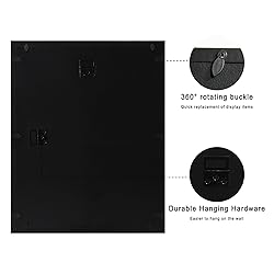 CCDCC 11x14 Shadow Box Display Case with Tempered