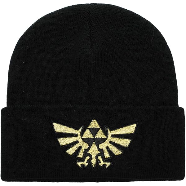 Zelda: Does The Hylian Shield Break In Tears Of The Kingdom