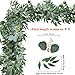 Supla Faux Eucalyptus Leave Garland and Willow Vines Twigs Leaves Garland String for Wedding Arch Swag Backdrop Doorways Table Runner Jungle Holiday Greenery Garland Decor 2 Pack Separate 5.9' L/Pcs