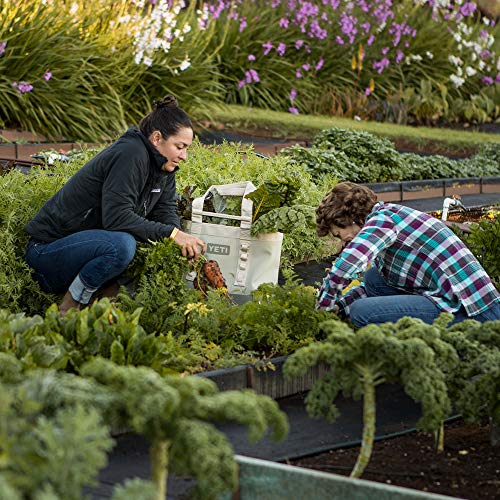 5 YETI+Carryall+All+Purpose+Waterproof+Everglade