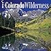 Colorado Wilderness - 2016 Calendar 12 x 12in by