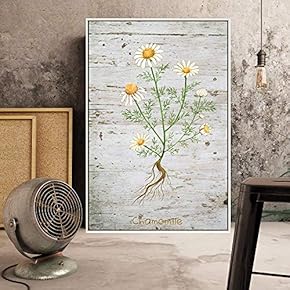 Floating Framed Canvas Wall Art for Living Room, Bedroom Plant Canvas Prints for Home Decoration Ready to Hang - 16x24 inches