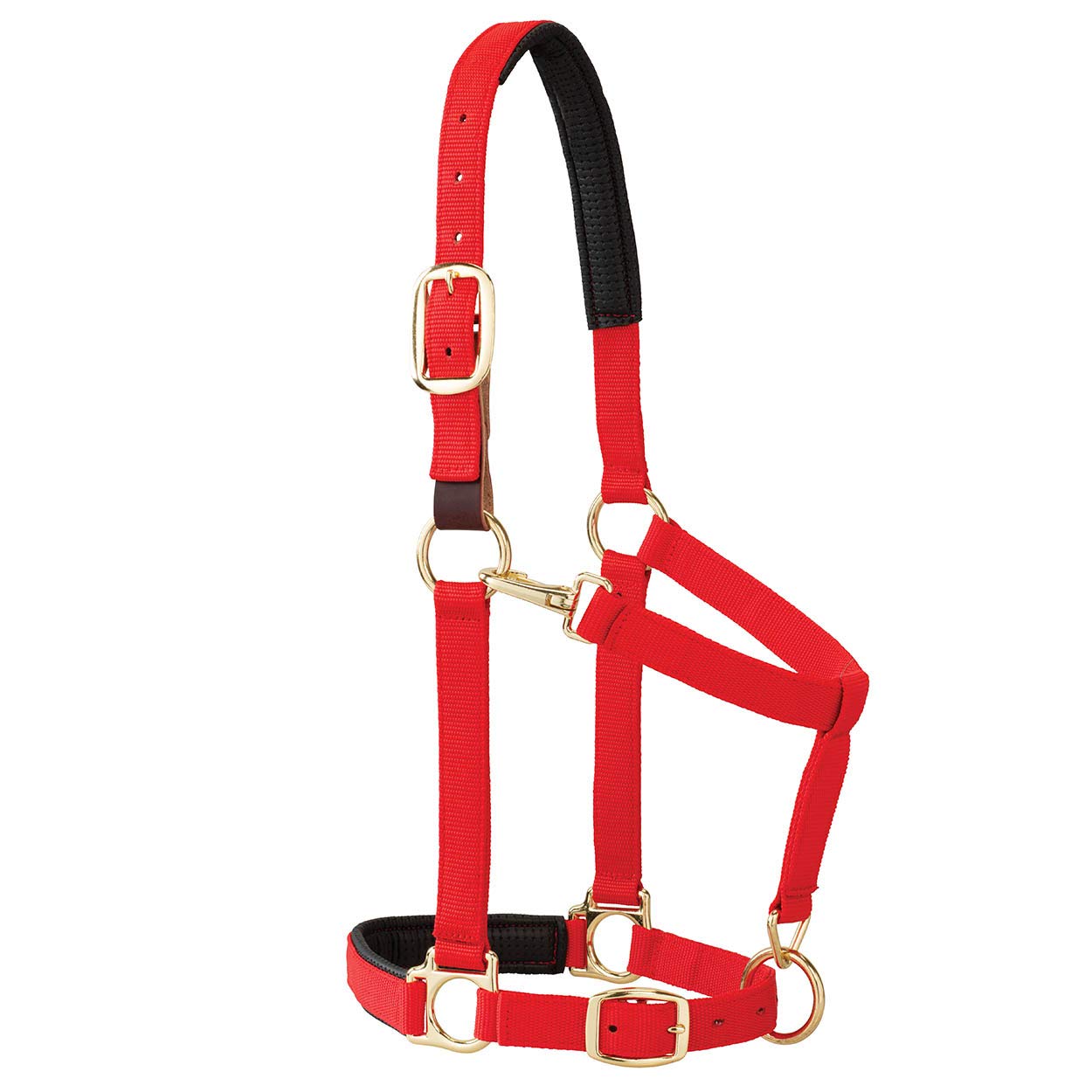Weaver Leather Padded Breakaway Adjustable Chin and Throat Snap Halter, 1" Average Horse or Yearling Draft, Red Striped
