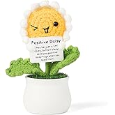 LakWilows Positive Crochet Daisy Flowers Emotional Support Desk Decor for Women, Funny Car & Office Accessories, for Coworkers & Sisters