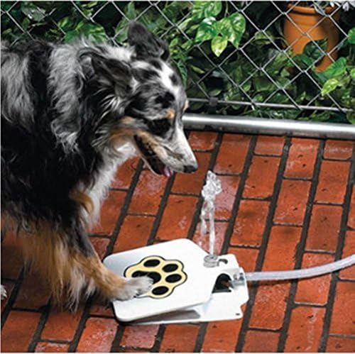 Durable Outdoor Doggie Water Fountain Step-on Fresh Cold Drinking Water