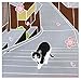 FUROSHIKI- Japanese Wrapping Cloth (Traveling-cat : SAKURA)