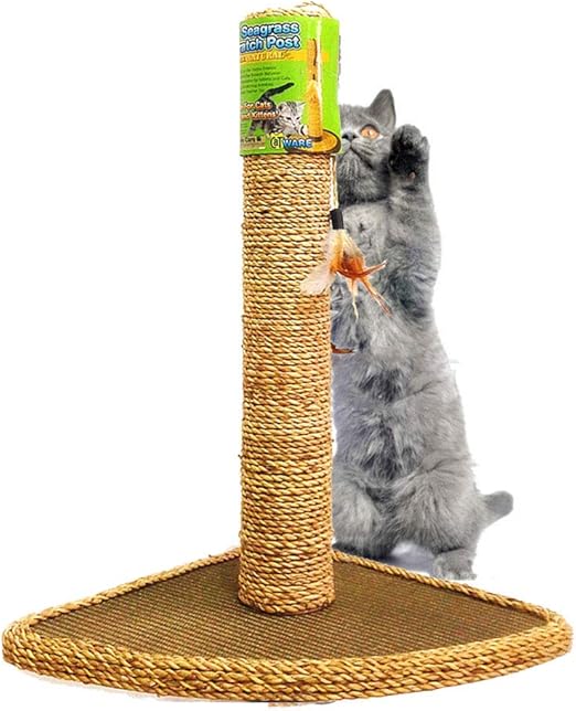 cat activity centre pets at home