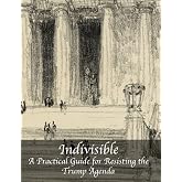 Indivisible Guide