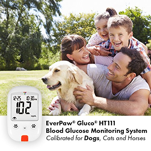 EverPaw Gluco HT111 Blood Glucose Diabetes Monitoring System for Dogs, Cats & Horses - Thumbnail 4