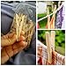 jijAcraft 100Pcs Clothes Pins - 2.8