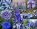 Bamboo Cove Farm Seeds Annuals & Perennials "Best of the Blues" Wildflower Seeds With a FREE Wildflower gift, 1000 seeds
