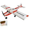 Viloga EPP Foam Airplane Model Kit, 960mm Wingspan Fixed Wing RC Plane Helicopter, DIY RC Airplanes for Adults Outdoor Flying (KIT Only, Not Including Remote Control and Power System)