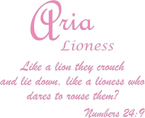 Amazon Co Jp 赤ちゃん名前壁デカール名ビニールデカールの意味を表示 Learn Theベビーガールズ名の意味 名前またはboys Getこの私の名前は何を意味デカール Aria V1 ピンク Declg00ariagnv01spwd ホーム キッチン