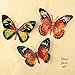 Collections Etc Butterfly Wall Art 3D Metal Décor Set - 3pc. Set