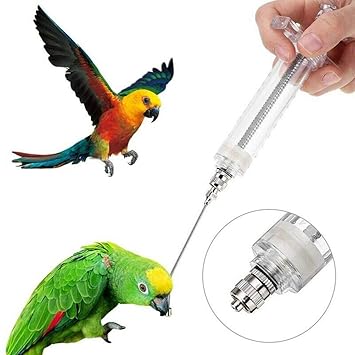 Eillybird Baby Bird Feeder Cockatiel Budgie Parrot Pet Hand