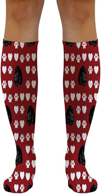 Amazon Com Funny Knee High Socks Irish Water Spaniel Dog Red Tube