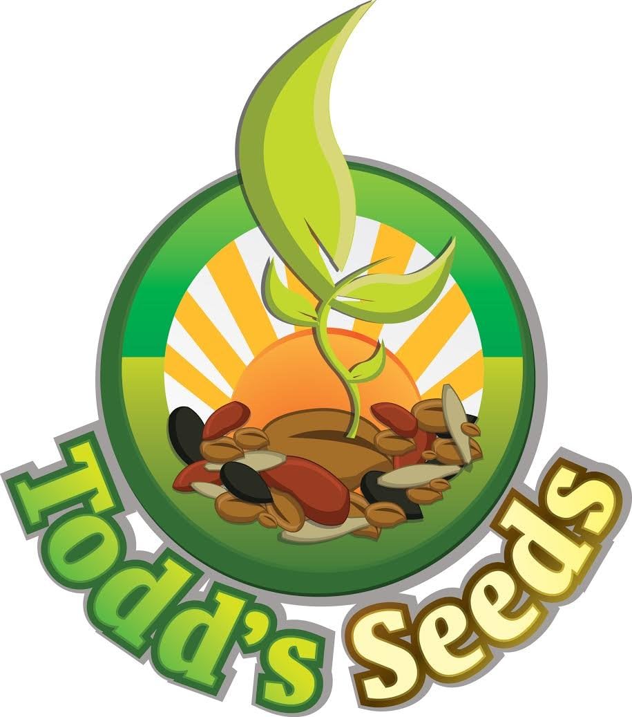 Todd's Seeds, Wheatgrass Seeds, One Pound, Cat Grass Seeds, Hard Red Wheat : Cat Grass : Garden & Outdoor