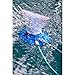 Aquatix Pro Premium Fine Mesh Bag Replacement with Pull & Lock Cord for Pool Leaf Vacuum, Eater, Catcher, Gulper, Bagger, Master, Universal Fit, Strong & Durable, 1 Year Warranty