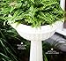 Bloem GU180-10 Grecian Urn, 18-Inch, White, 32