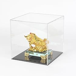 Kcgani Fully Assembled Acrylic Display Case with