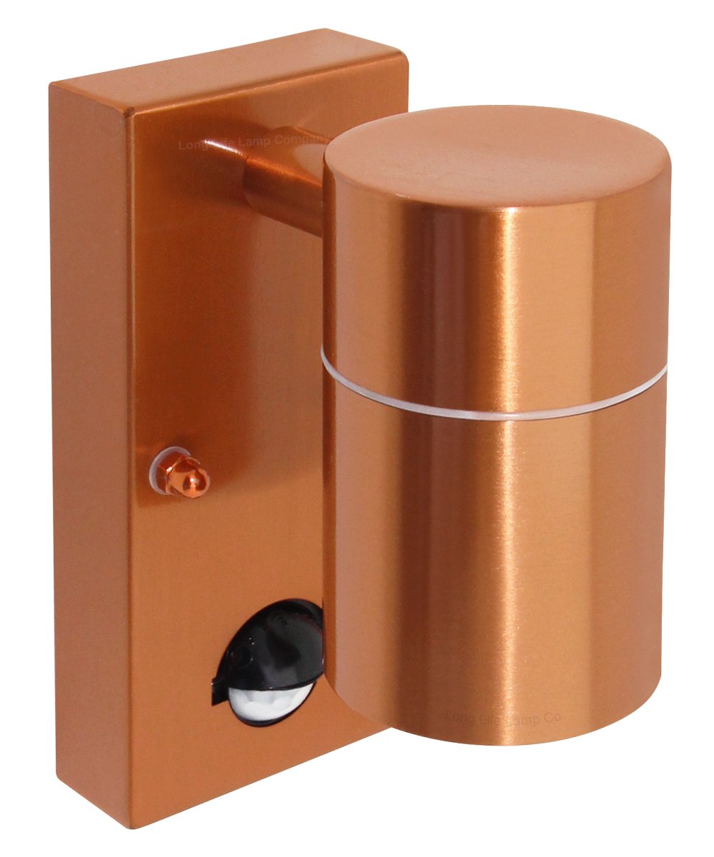 PIR Stainless Steel Single Outdoor Copper Wall Light with Movement