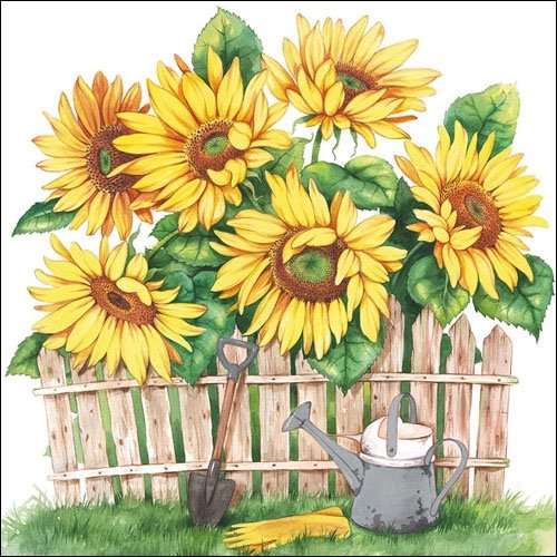 Ambiente Servietten Lunch/Party/ca. 33x33cm Garden of Sunflowers - Ideal as Gift