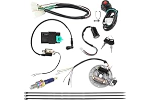 PRO BAT Lifan Stator Kick Electrics Wire Harness Kit Complete Electrics Wire Harness CDI Coil Magneto Pit Dirt Bike ATV SSR Coolster for 50cc 70cc 90cc 110cc 125cc 140cc (Purple A7TC Spark Plug)