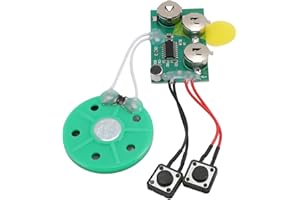 FOSA 120 Seconds Sound Recorder Module, Recordable Voice Module with Speaker, Recording Music Voice Player Sound Module Chip for Greeting Card