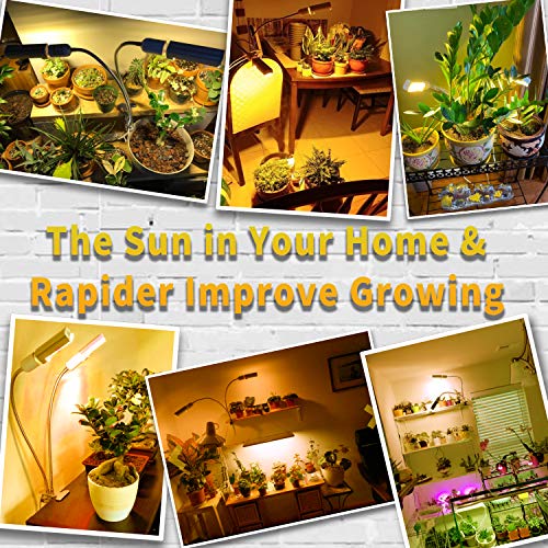 1 KINGBO+Spectrum+Gooseneck+2+Switch+Replaceable