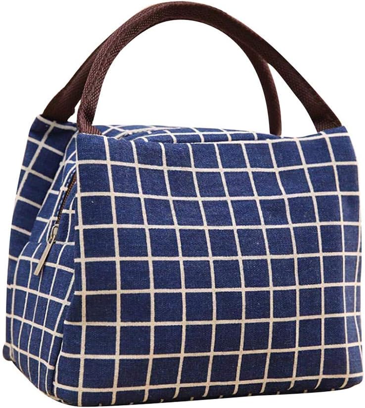 Hanesy Lunch Bag Tote Bag, Fashion Plaid Women Lunch Cooler Box Office Worker Lunch Holder Container Cooler Bag Soft Liner Lunch Bags Dinner Ice Pack For Women/Picnic/Boating/Beach/Fishing/Work