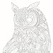 Beautiful Birds and Treetop Treasures (A Millie Marotta Adult Coloring Book)