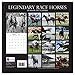 Beatufiul Photographs of Legendary Race Horses 2017 Monthly Wall Calendar, 12