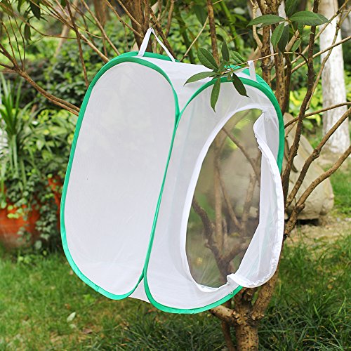 Insect and Butterfly Habitat Terrarium Pop-up - 23.6 Inches Tall (White)